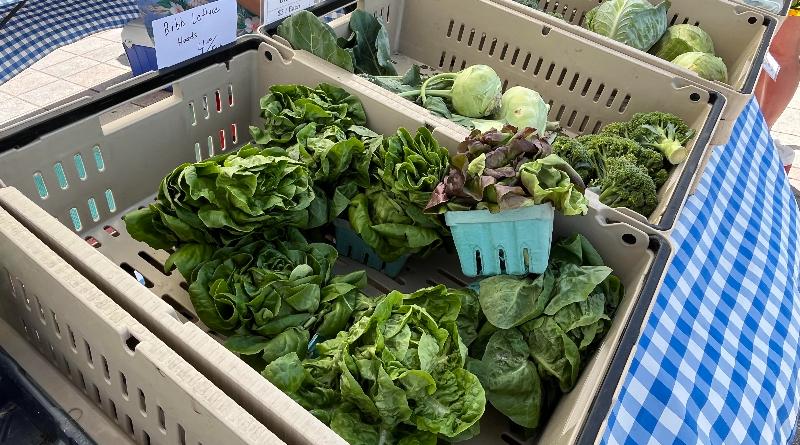 เราสามารถสร้างระบบอาหารที่ส่งเสริมสุขภาพของมนุษย์และโลกได้