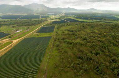 Renewables hit 80 pct share in Australia's most coal dependent grid for first time