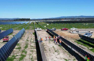 安全设计：通过预制EBOS在澳大利亚扩展太阳能和储能规模