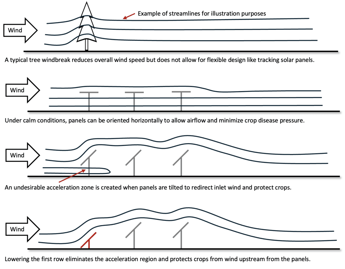 追踪式农光互补将田地转变为抗风安全区