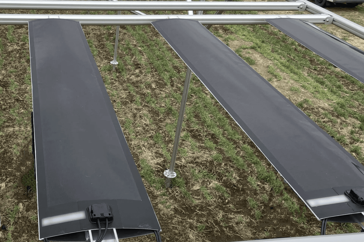 กลุ่มบริษัทนำโดยเซกิสุยทดสอบแผงโซลาร์เซลล์เพอรอฟสไกต์ชนิดฟิล์มสำหรับการเกษตรร่วมพลังงานแสงอาทิตย์