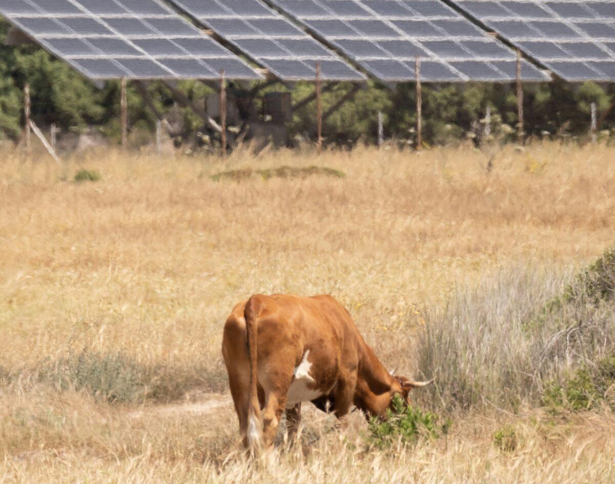 The solar support gap: Why do pro-solar citizens reject local projects?