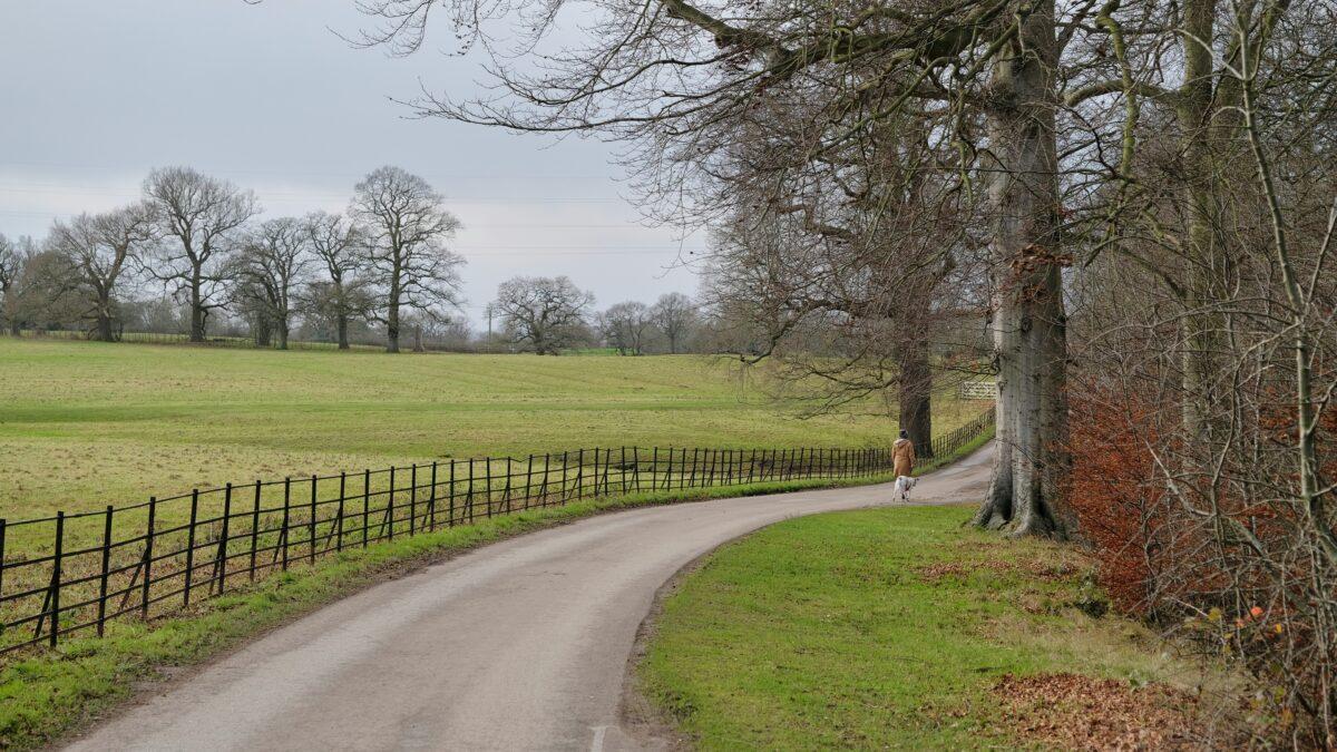 RWE ยกเลิกโครงการโซลาร์ 99.9 เมกะวัตต์ในเวลส์เนื่องจากข้อจำกัดของระบบไฟฟ้า