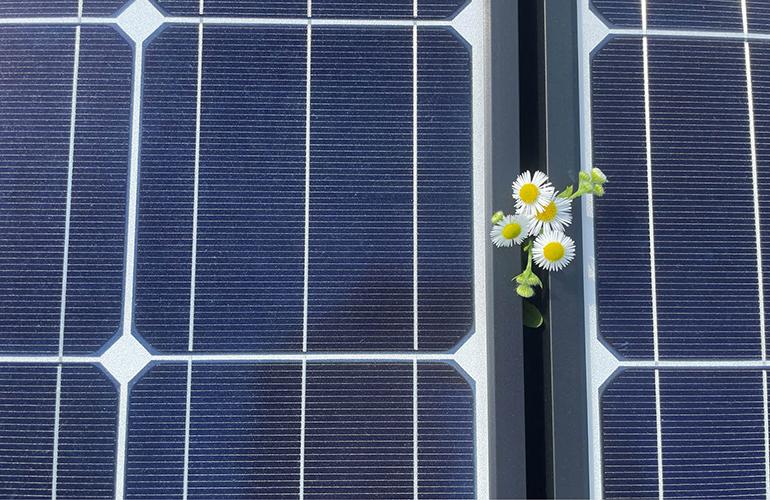 7 เคล็ดลับการบำรุงรักษาโซลาร์เซลล์เพื่อการผลิตไฟฟ้าสูงสุดในช่วงฤดูร้อน: ทำไมการตรวจเช็คช่วงฤดูใบไม้ผลิจึงสำคัญต่อประสิทธิภาพทั้งฤดูกาล